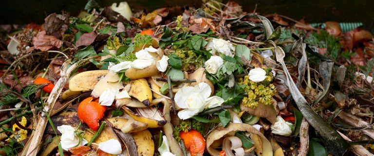 Food Waste for recycling and composting