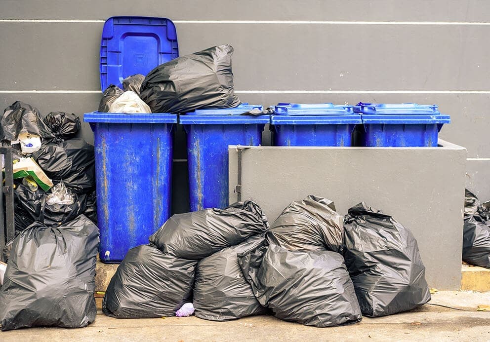 garden-waste-removal-York-blue-bins