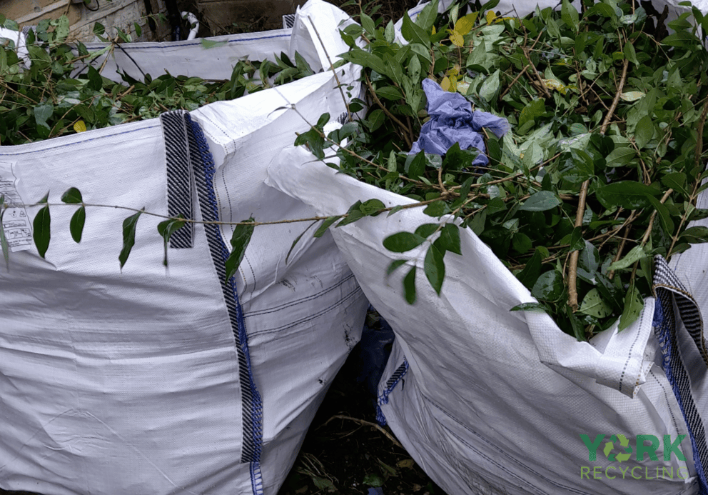 garden-clearance-Dunnington-Image-3