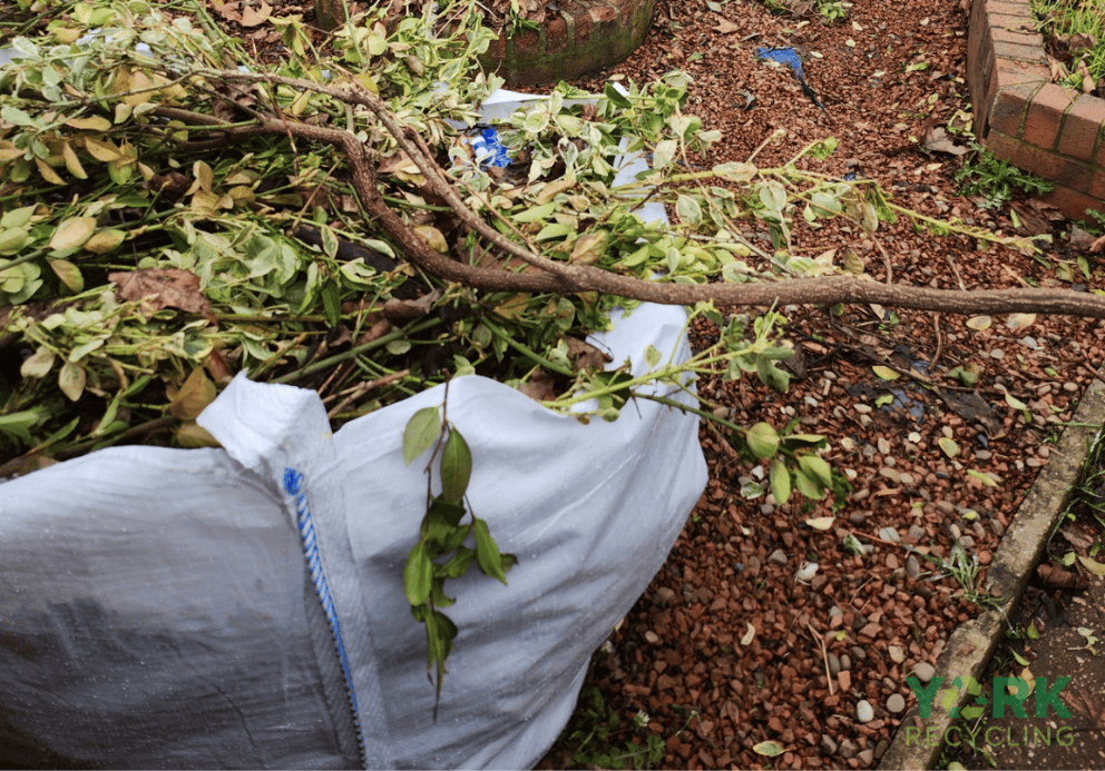 garden-clearance-Haxby-Image-1